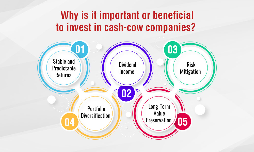 Why is it important to invest in cash-cow companies